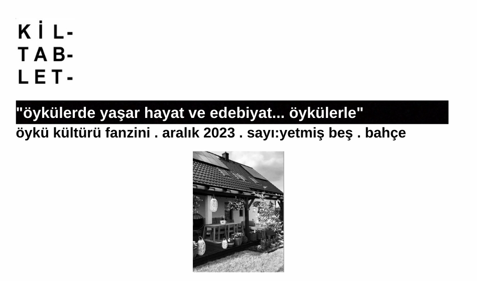 ARALIK SAYIMIZ